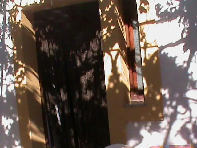 Apartment Tony Peroj